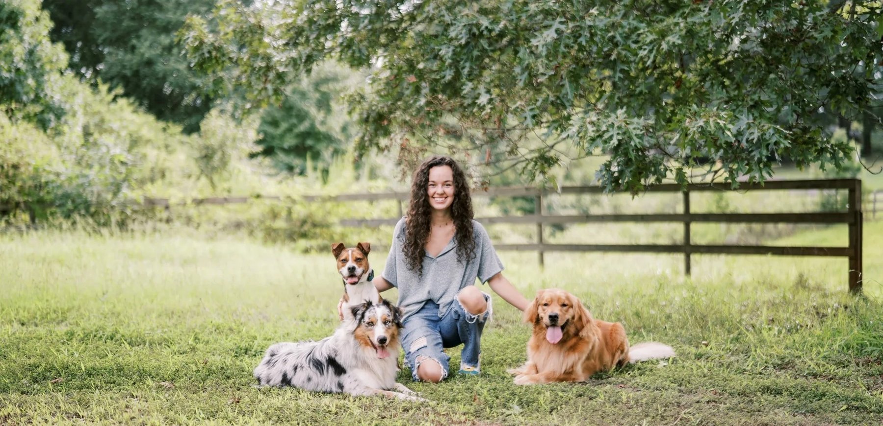 Ducktown Dog Training, LLC