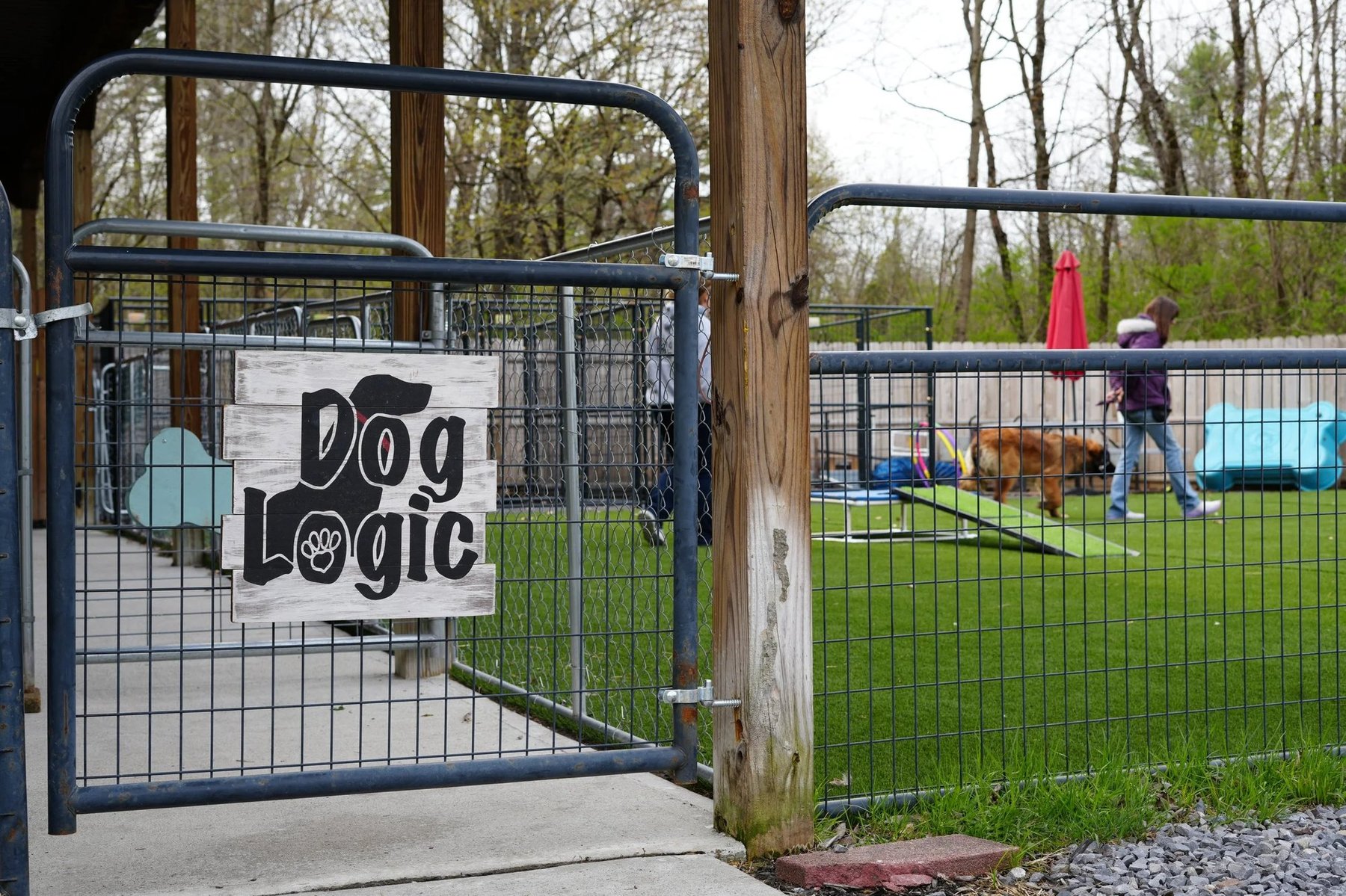 Dog Logic