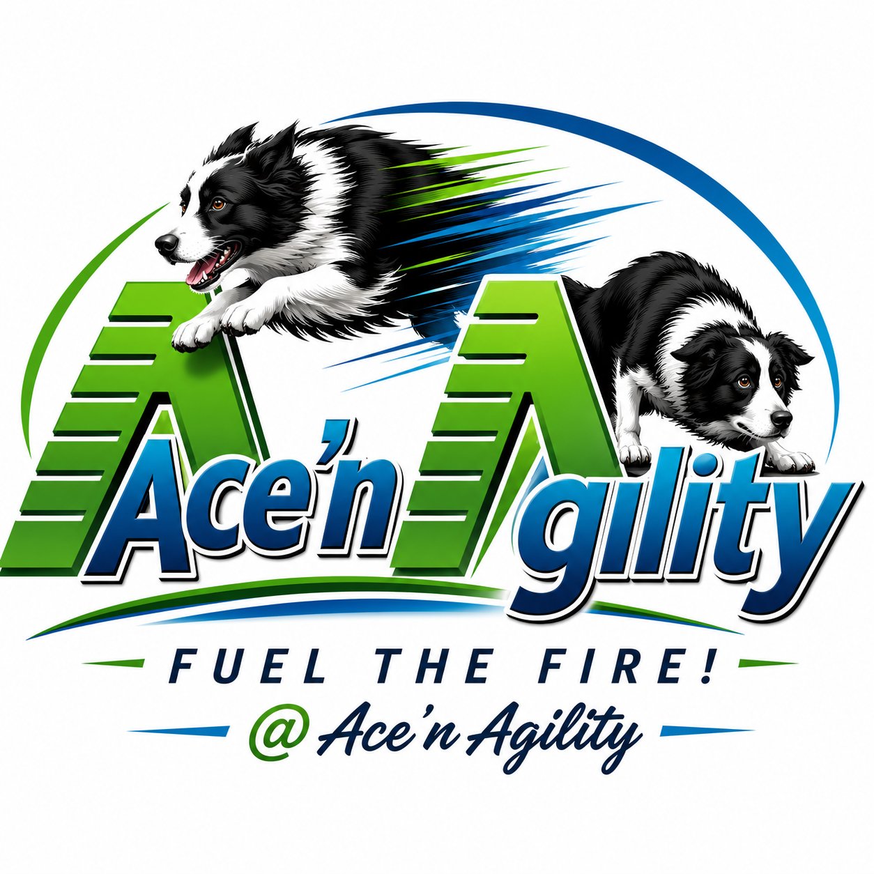 Ace’n Agility