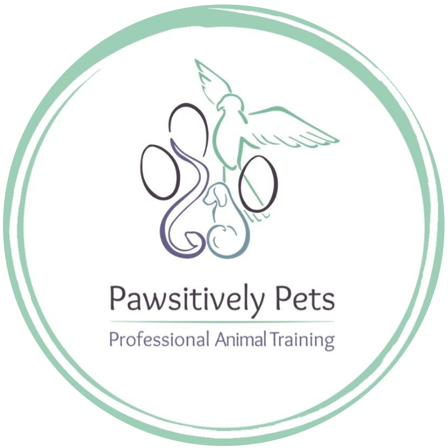 Pawsitively Pets
