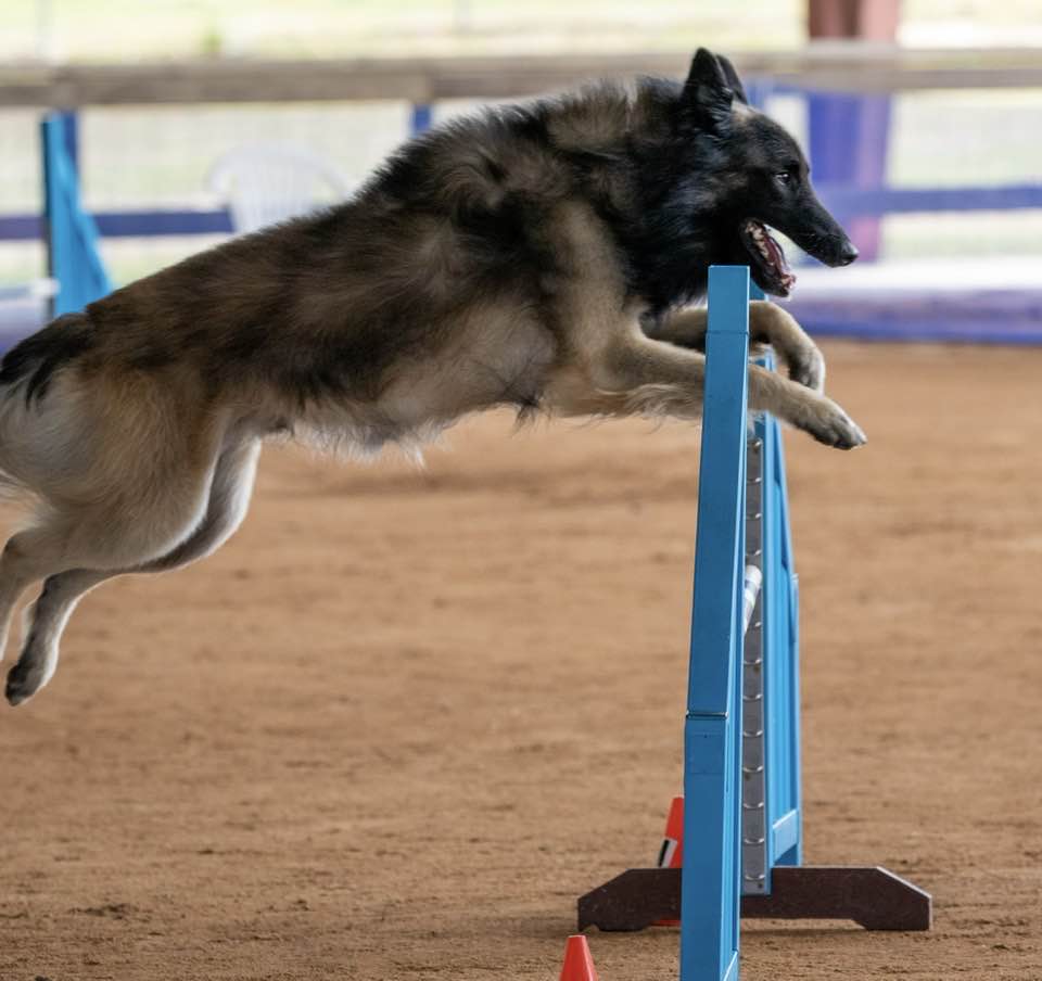 Greater Columbia Obedience Club