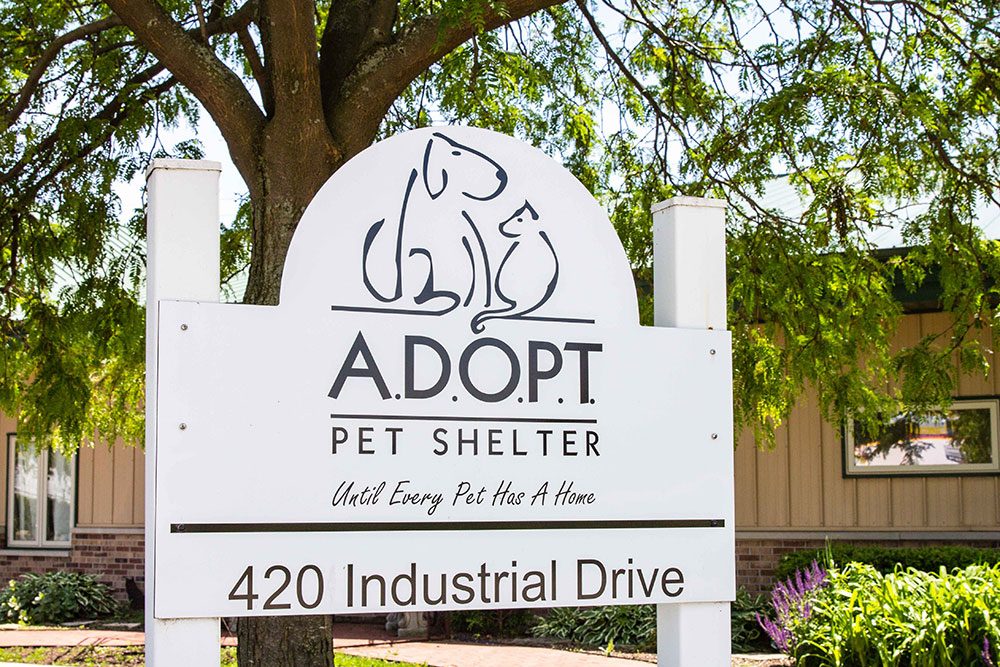 ADOPT Training for A Sound Beginning