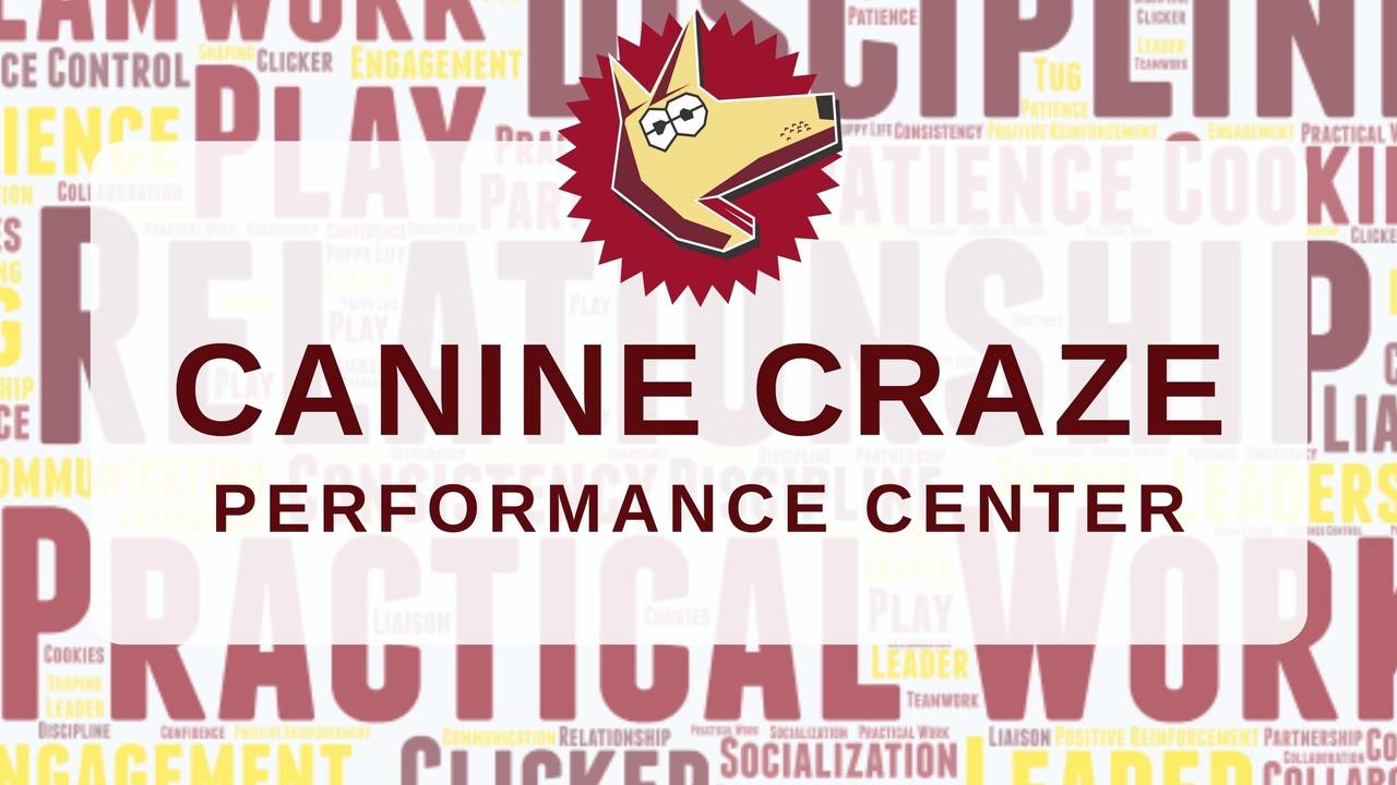 Canine Craze Performance Center