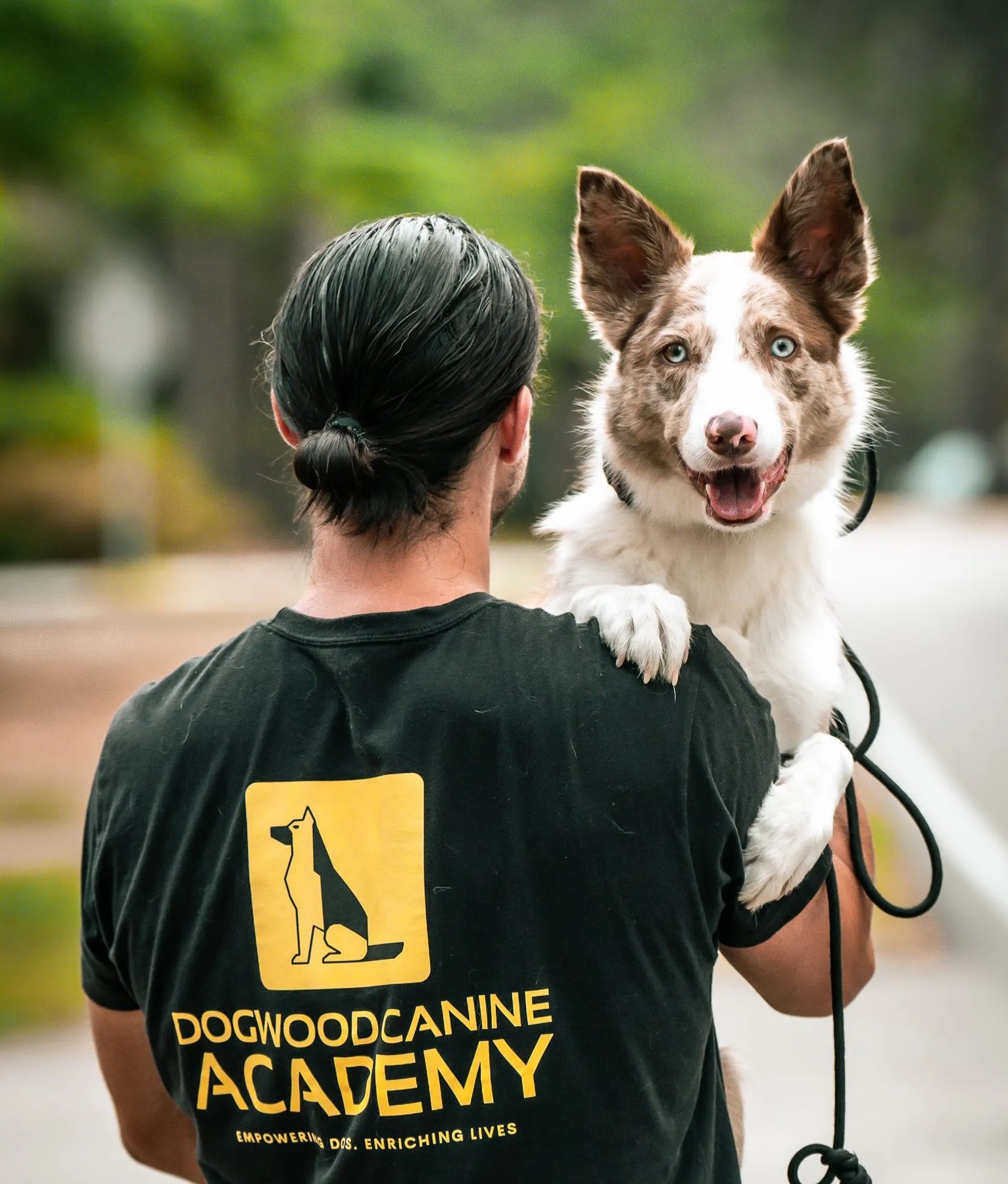 Dogwood Canine Academy
