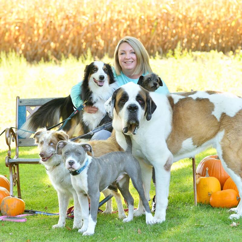Sit Stay Play Michigan — dog trainer in Saginaw, MI
