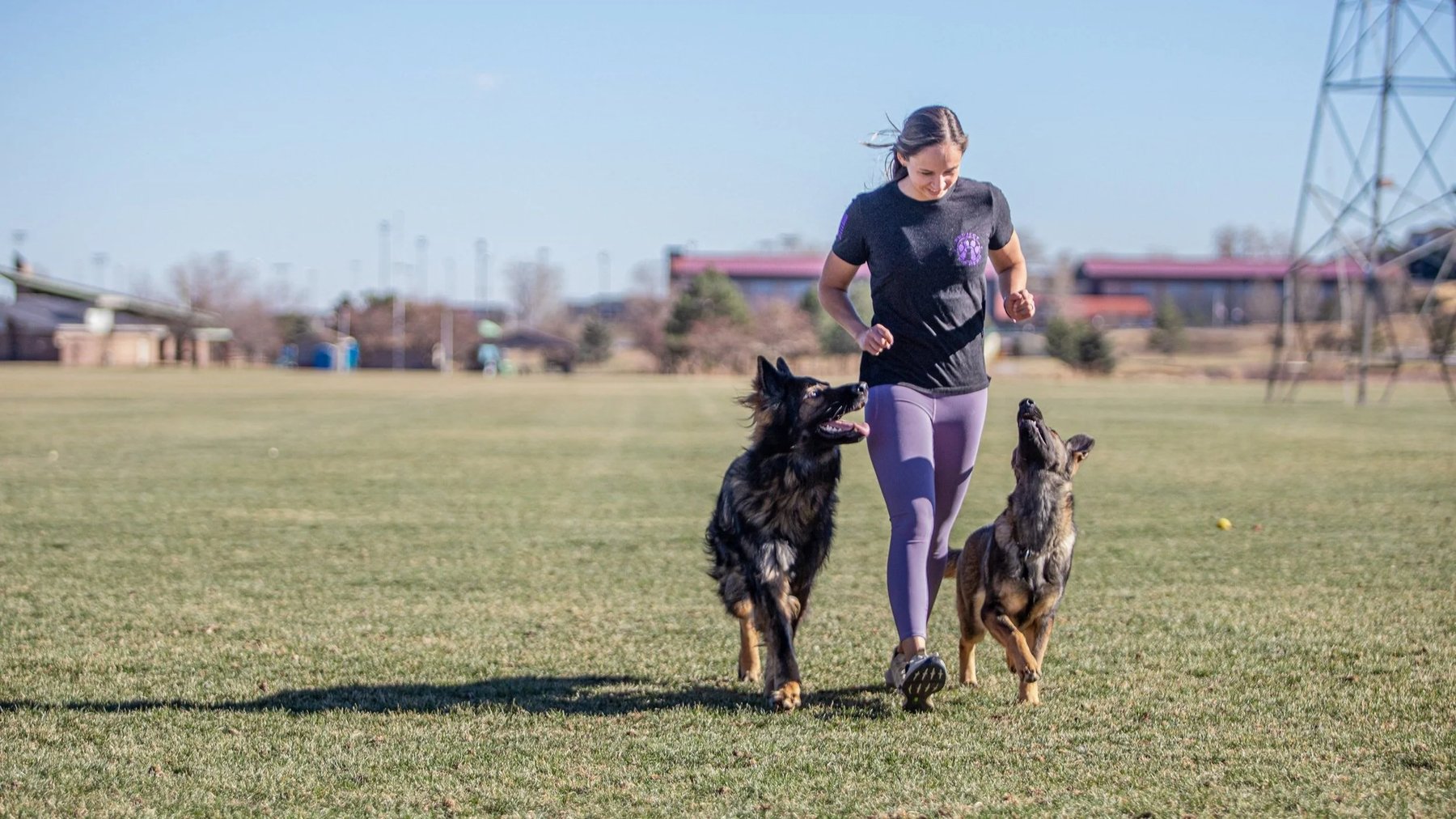 Canine Coach Academy — dog trainer in South Metro Denver, CO