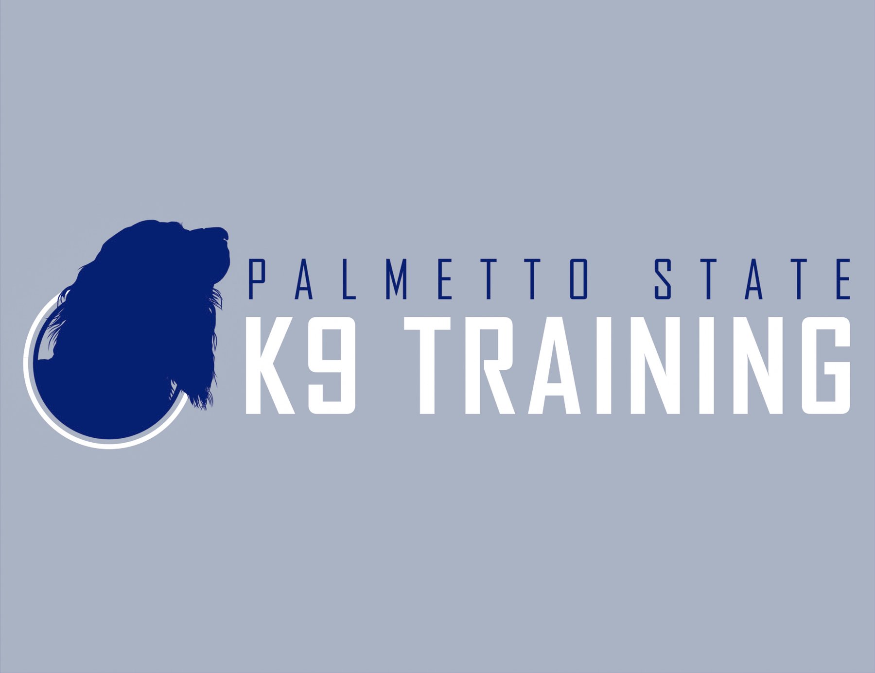 Palmetto State K9 Training — dog trainer in Greenville, SC