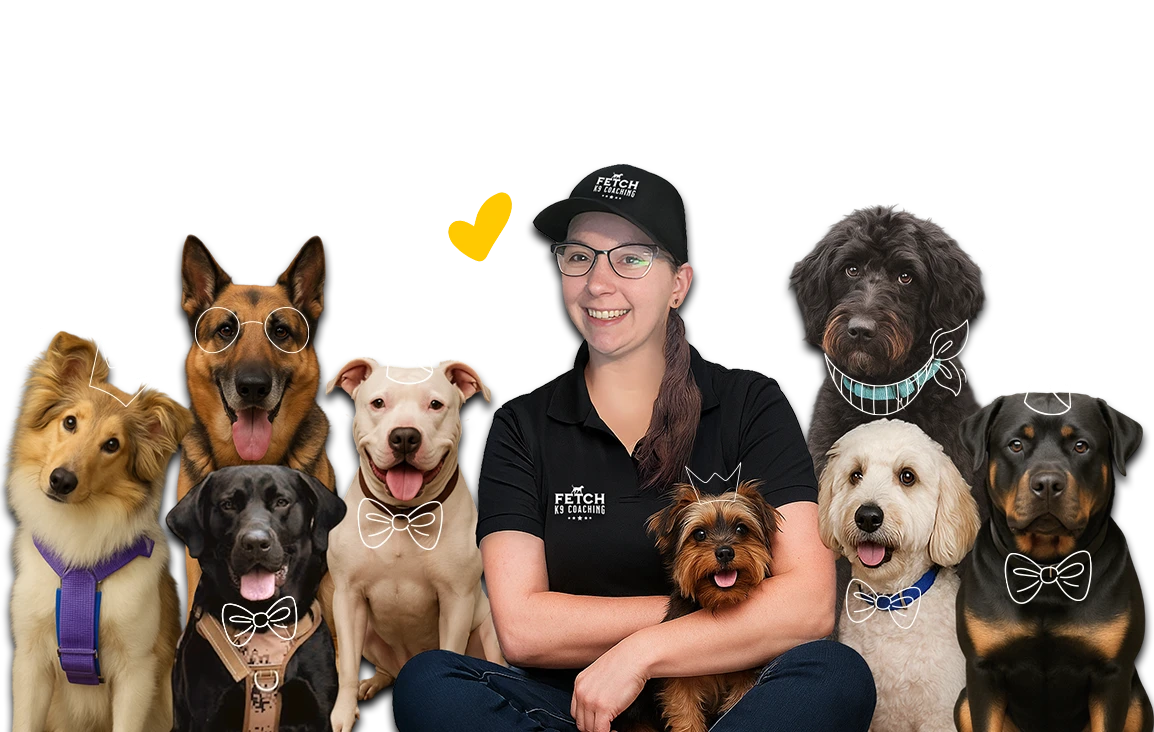 FETCH K9 Coaching – Professional Dog Training Services
