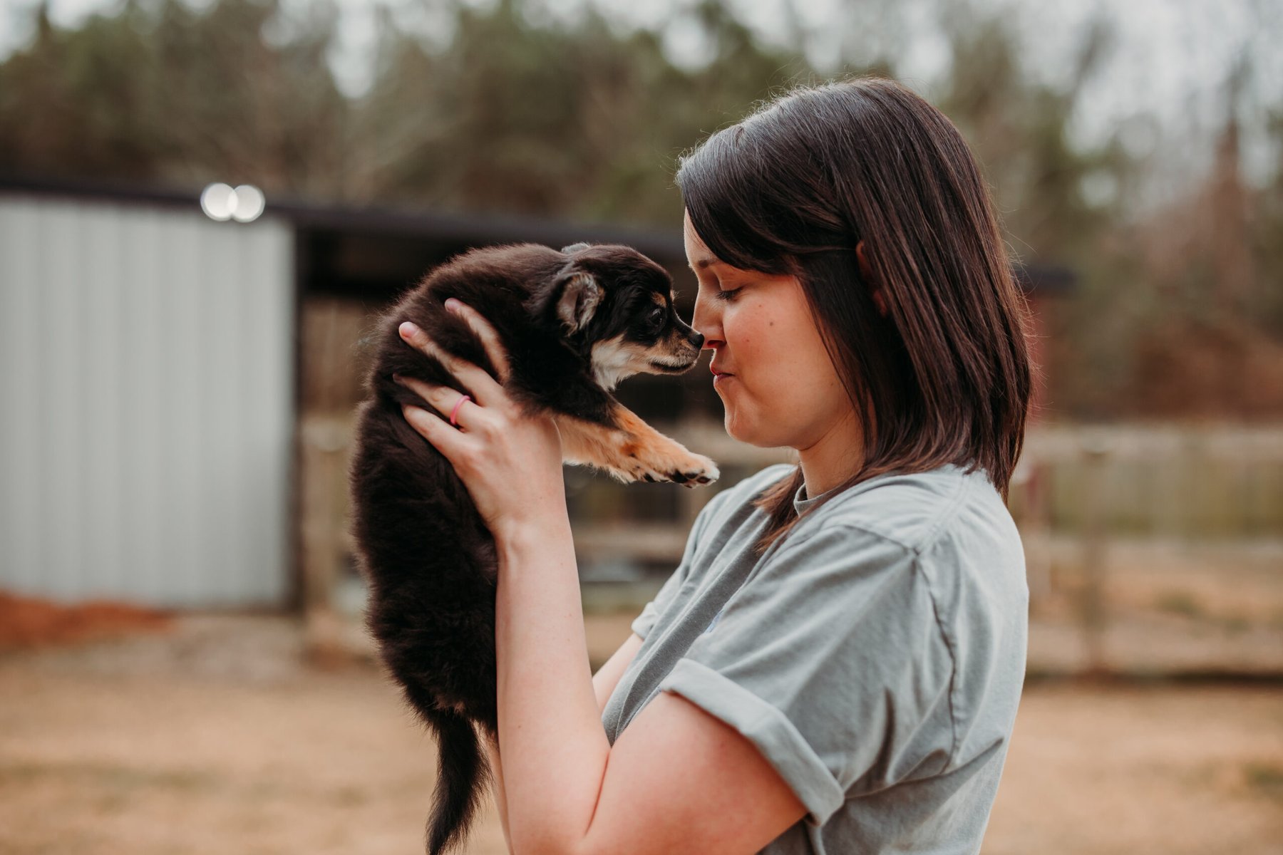 Nexus K9 Dog Training, Daycare and Boarding Savannah