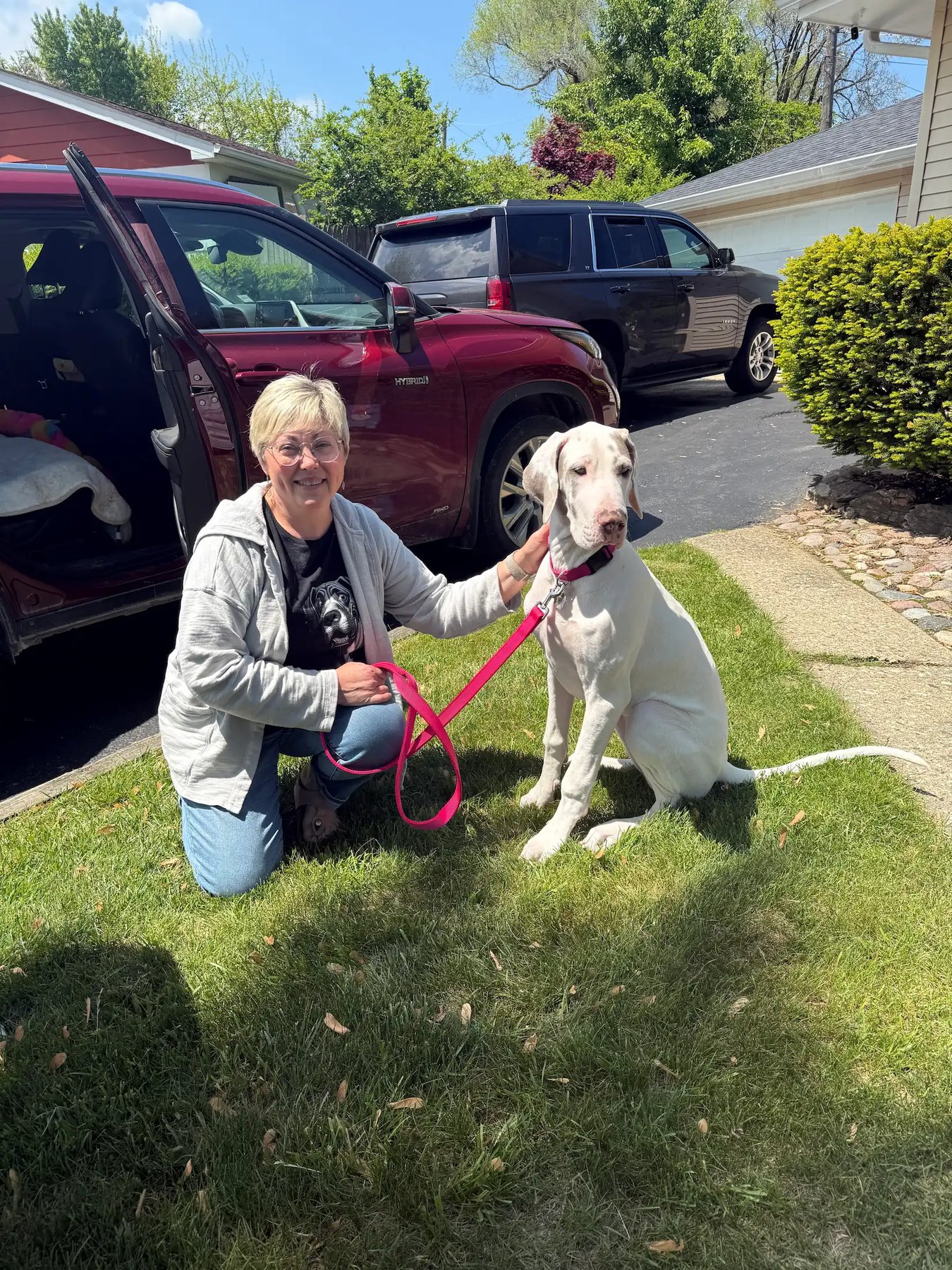 The Learning Dog Behavior & Enrichment Services