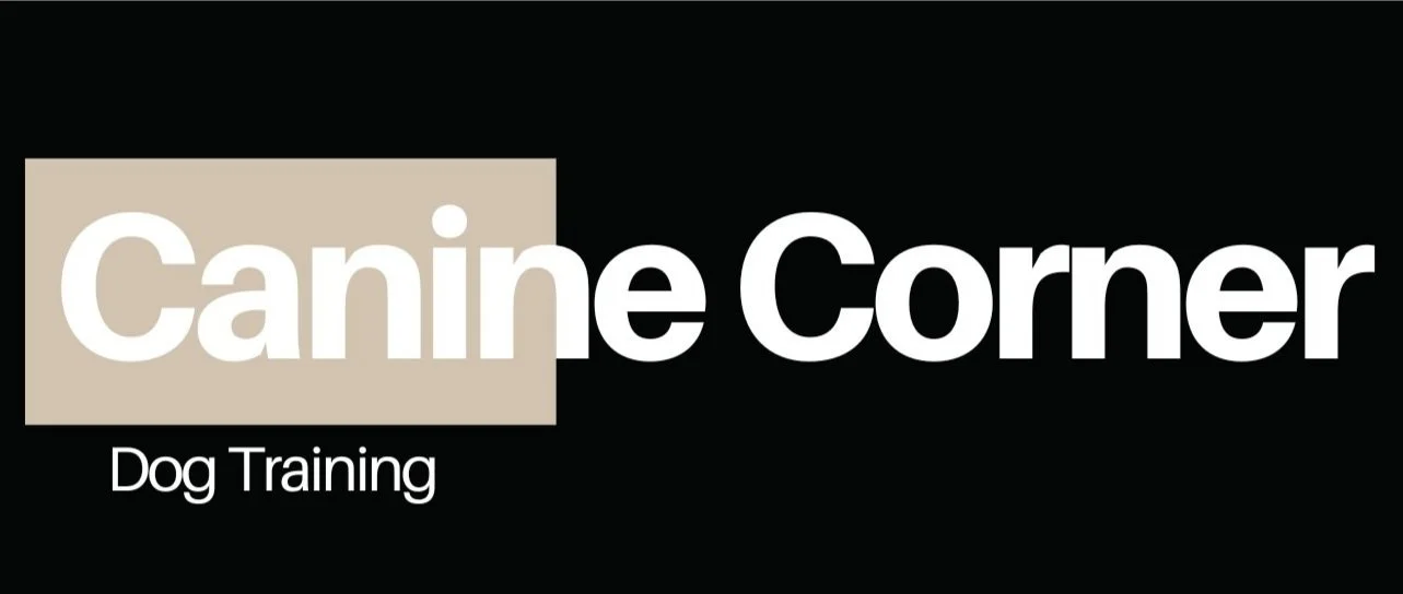 Canine Corner