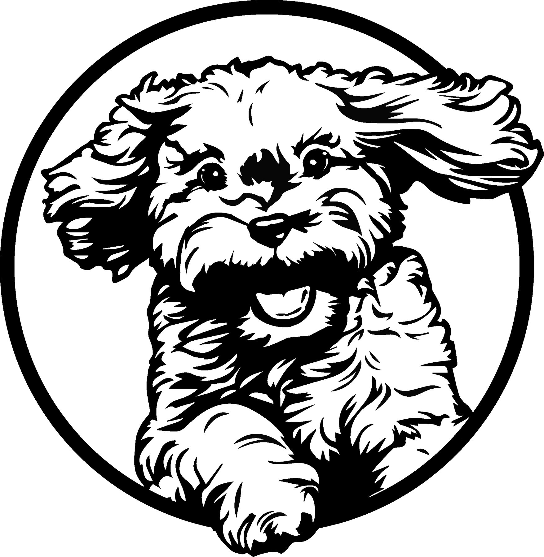 Omaha Obedience – Dog Training