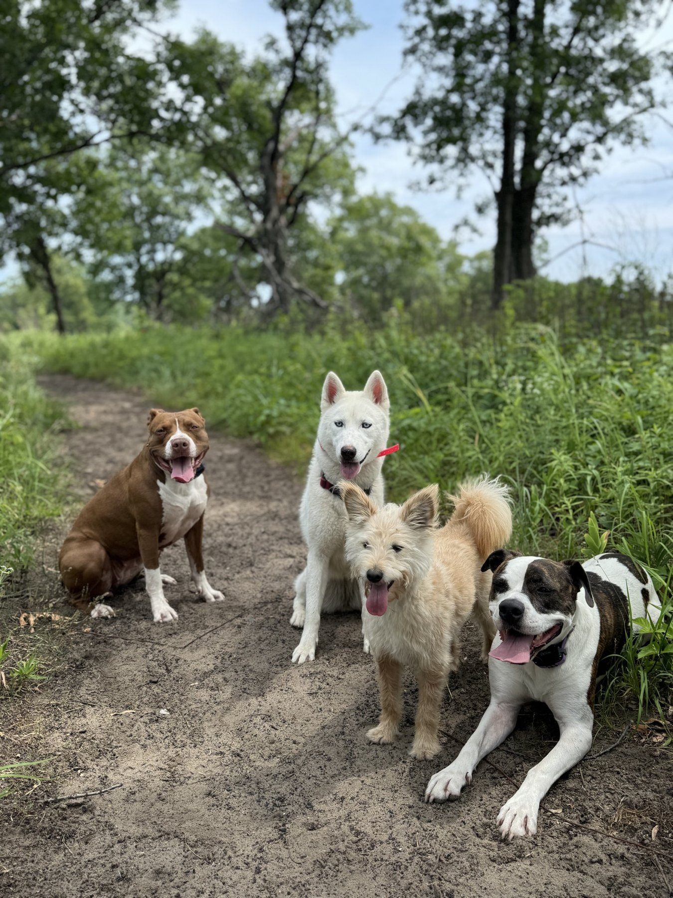 Chasing The Wild, LLC