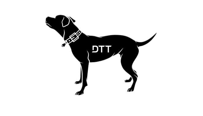Dog Training Transformation