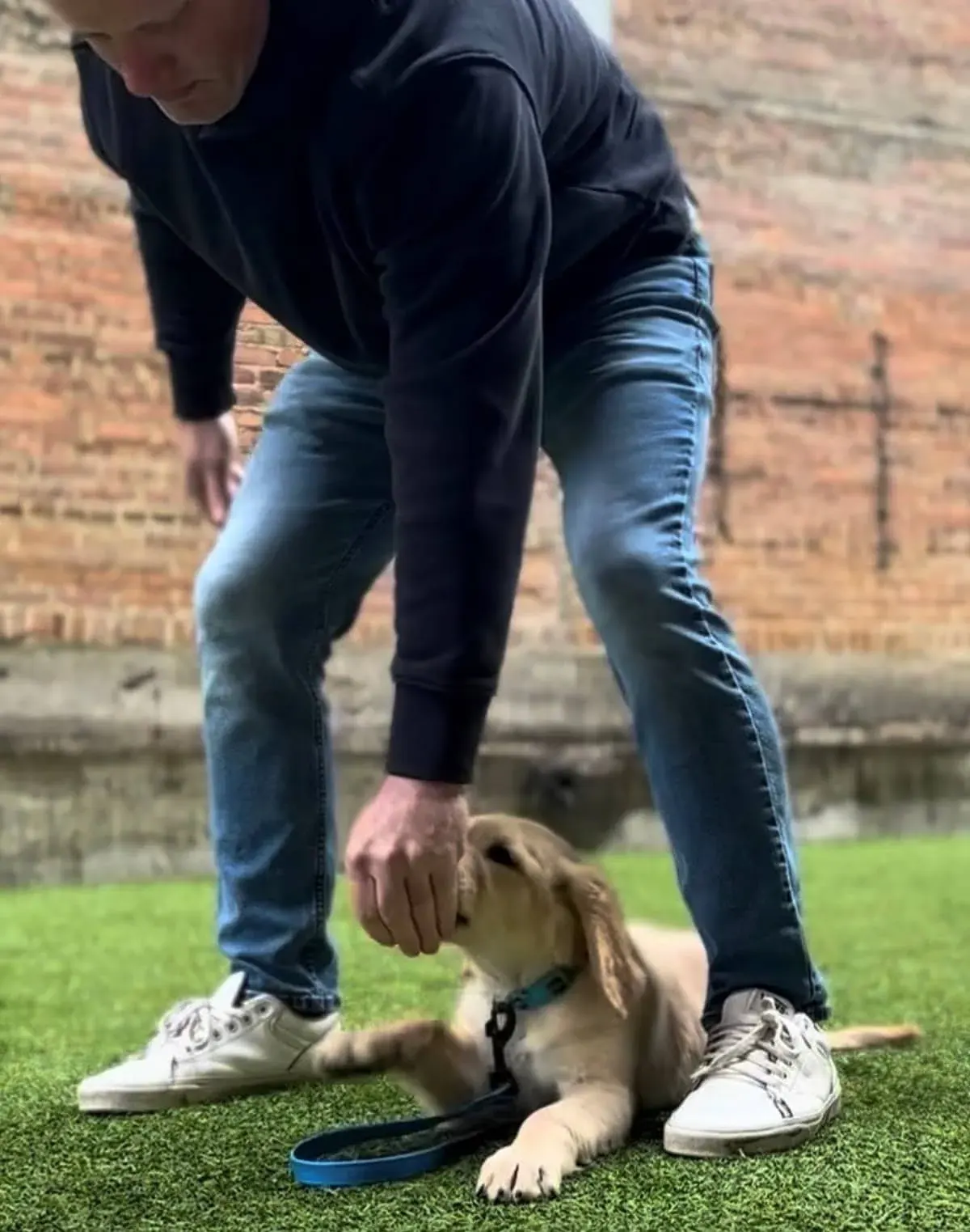 Koning Canine Academy
