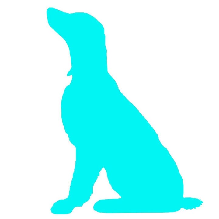 New Day Dog Training logo