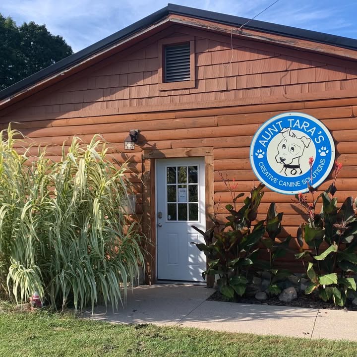 Aunt Tara's Creative Canine Solutions — dog trainer in Traverse City, MI