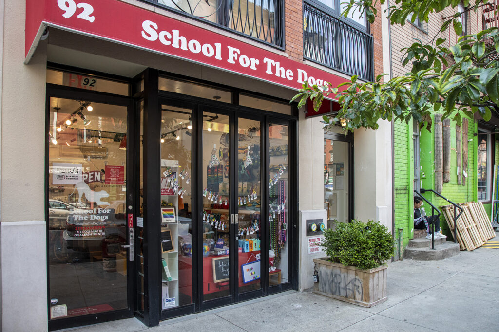 School For The Dogs