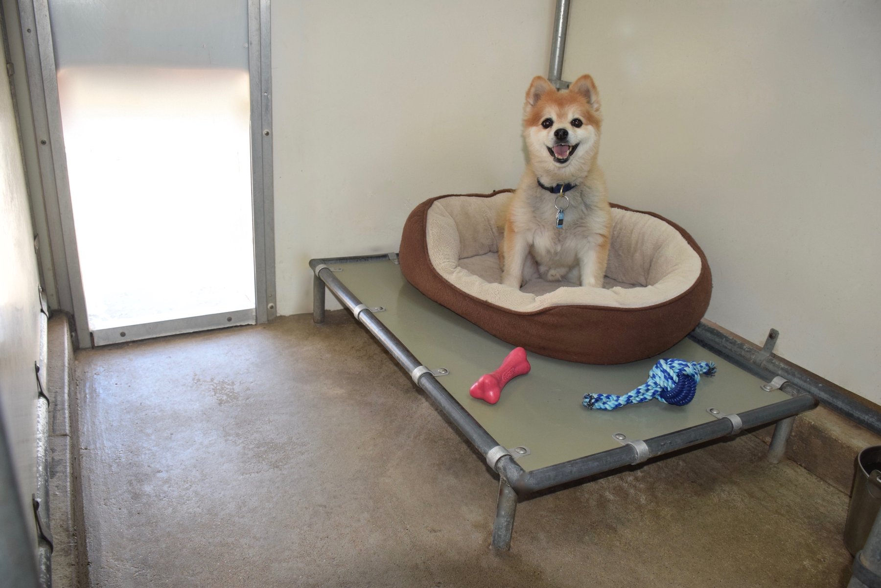 Sundance Kennels