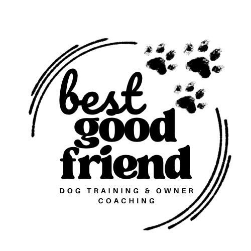 Best Good Friend Training