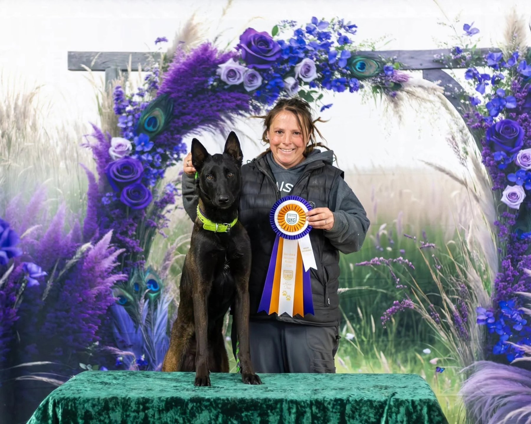 Wilos Wish Dog Training Fowler, Lansing, Dewitt, Portland Michigan