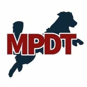 Model Paws Dog Training