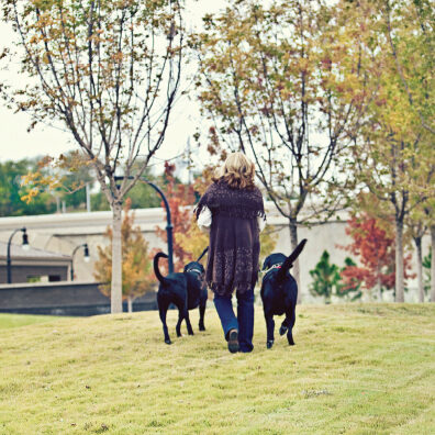 Three Oaks Animal Behavior Counseling