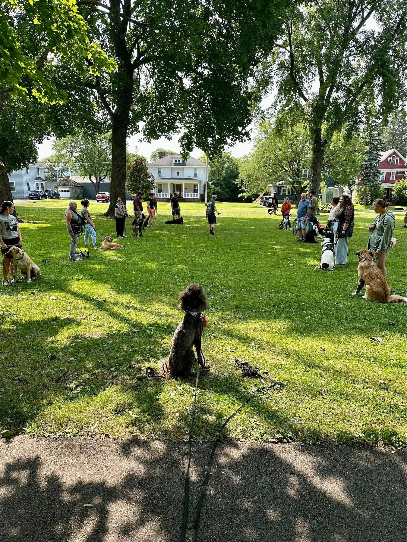 Jared Horton’s K9 LLC — dog trainer in Utica & Rome (Mohawk Valley), NY