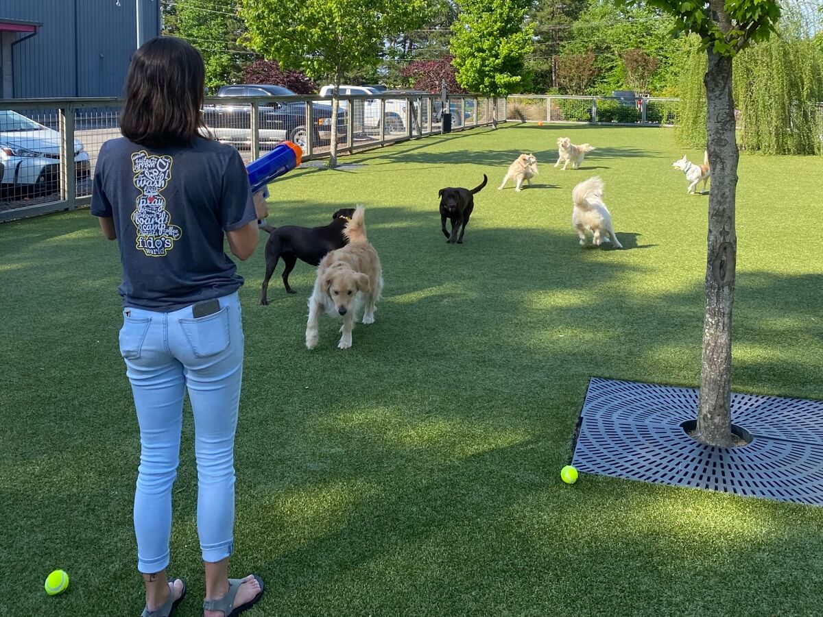 Fido’s World