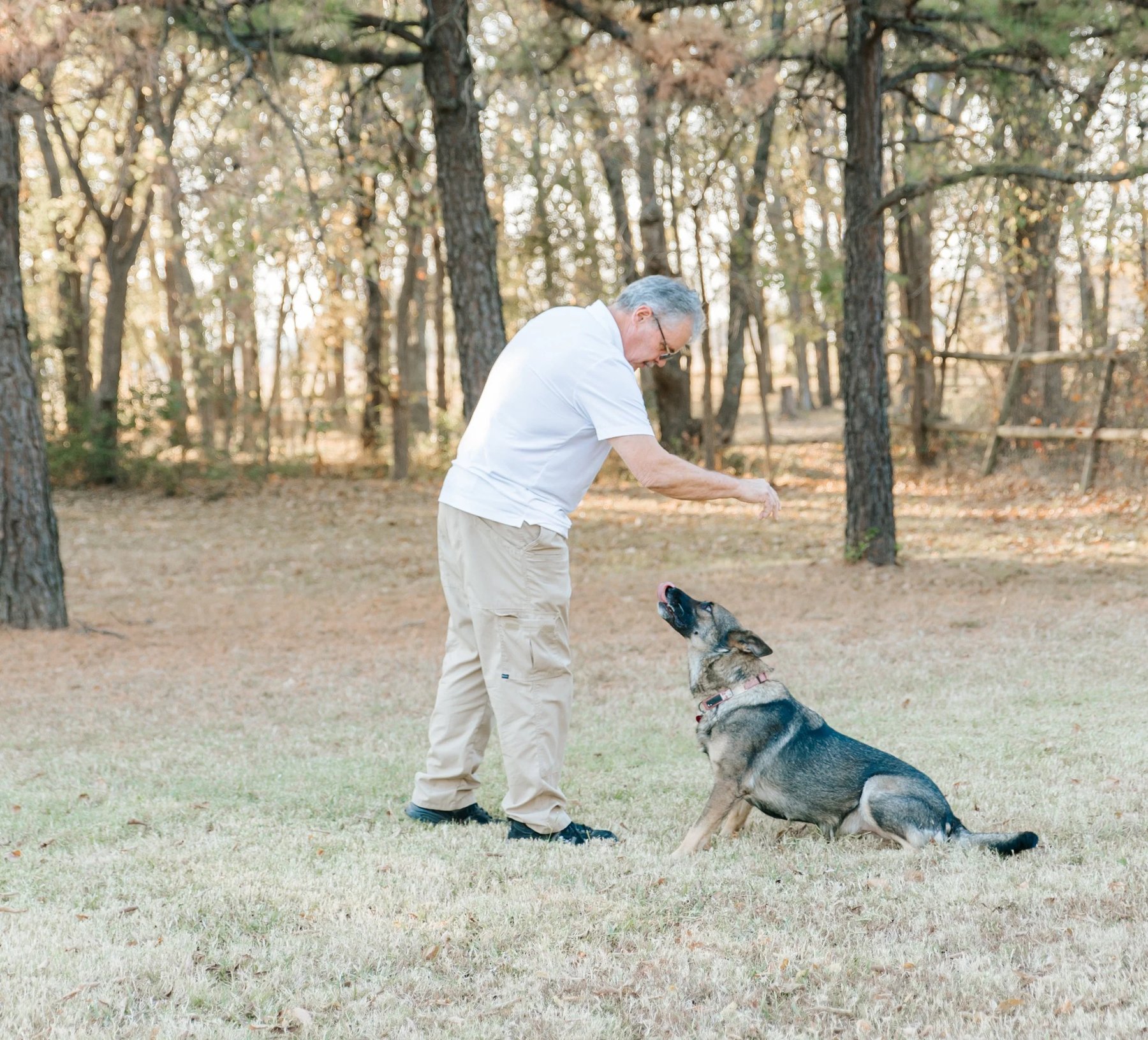 K9 Assist