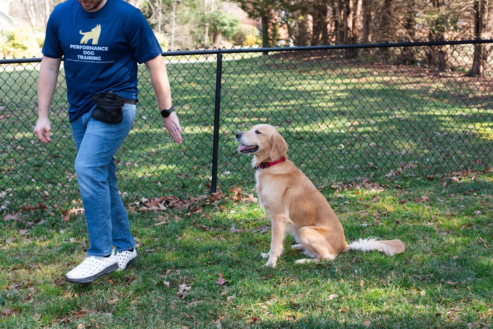 Performance Dog Training