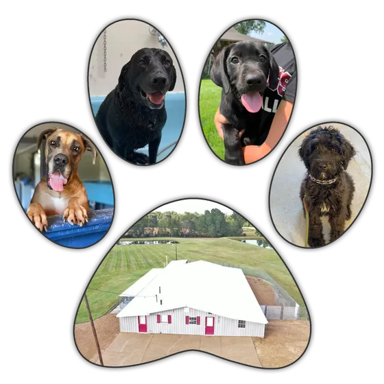 River Retriever Kennels, LLC