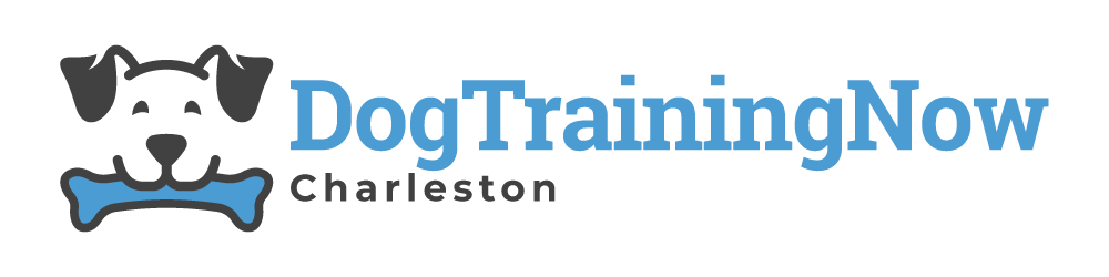 Dog Training Now Charleston — dog trainer in Charleston, SC