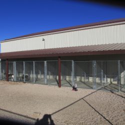 Jackson Creek Kennel