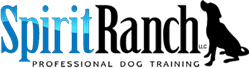 Spirit Ranch Dog Training at Grand Lake logo