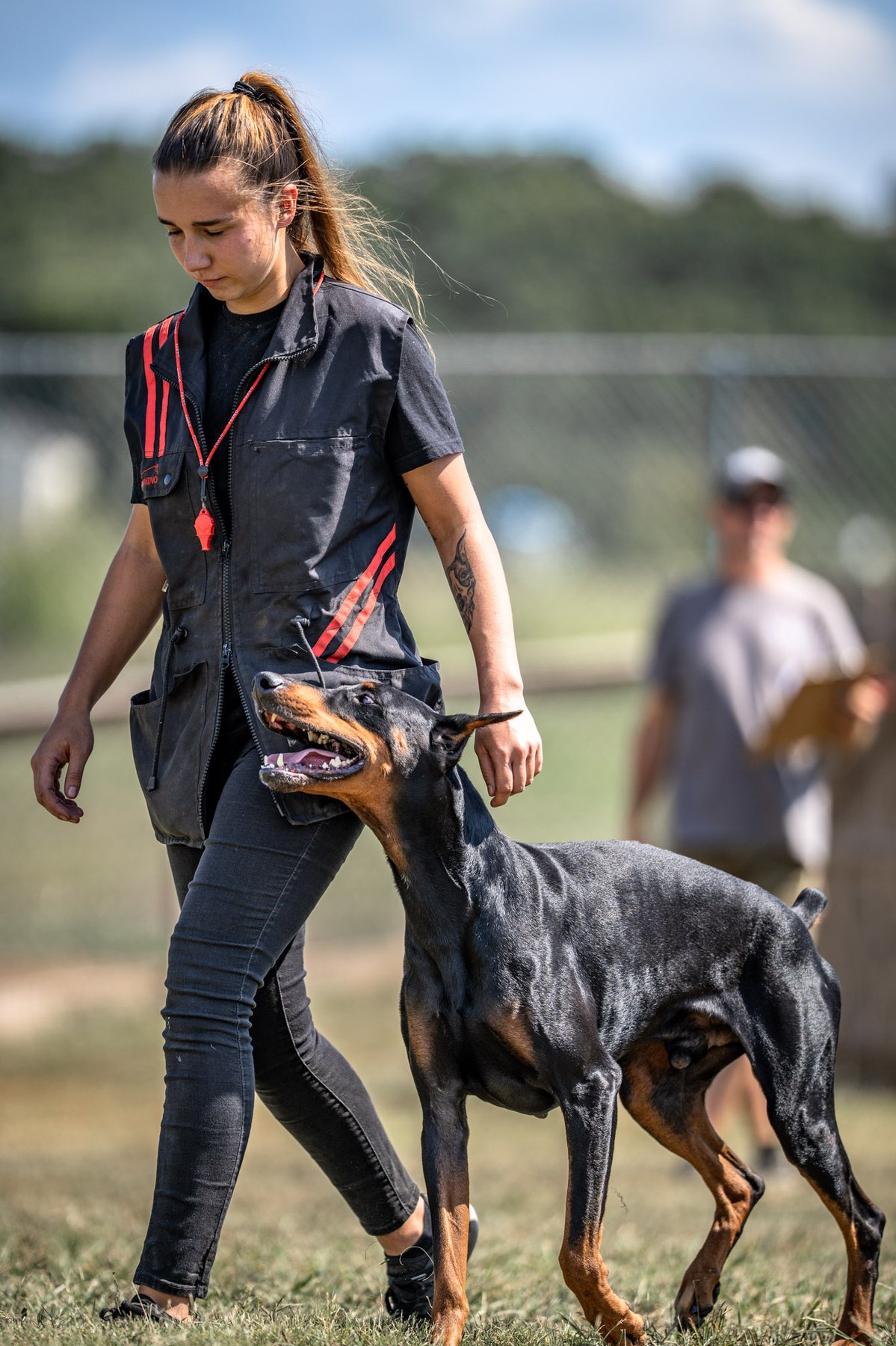 Connective Canine Dog Training