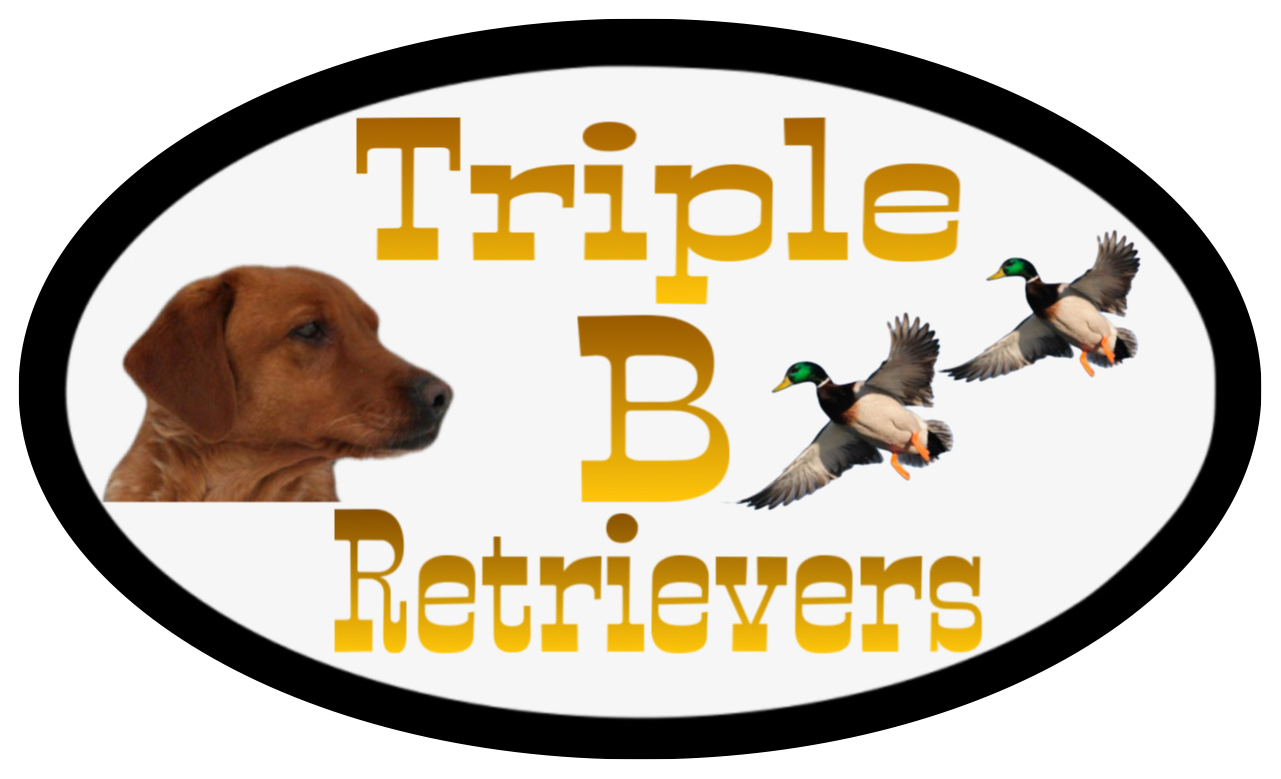 Triple B Retrievers logo