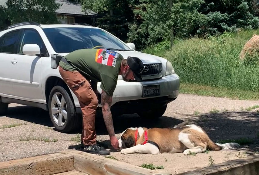 Oracle K9 Training