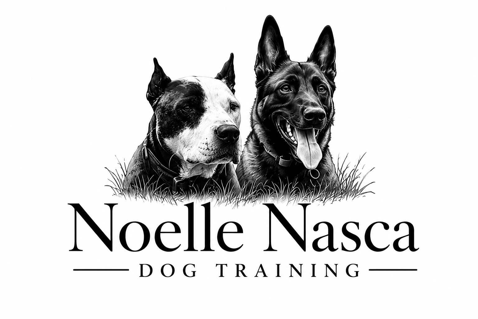 Noelle Nasca Dog Training