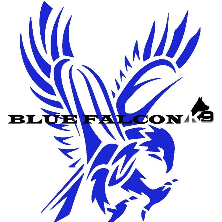 Blue Falcon K9 logo