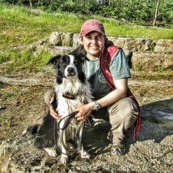 Harmony Dog Training — dog trainer in Ann Arbor, MI