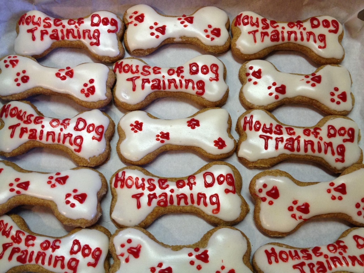 House of Dog Training Boarding & Behavior Center
