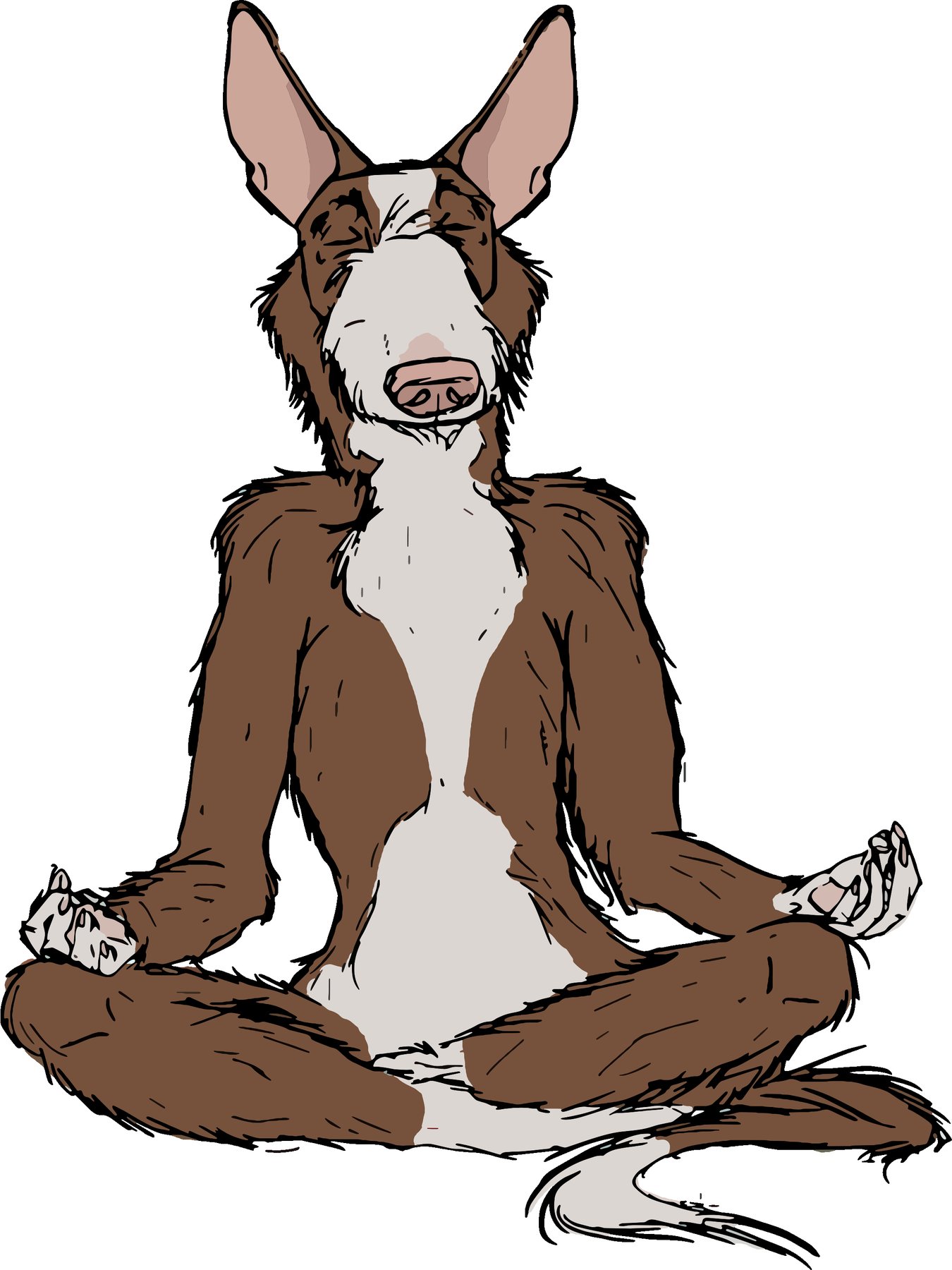 Zen Dog Training