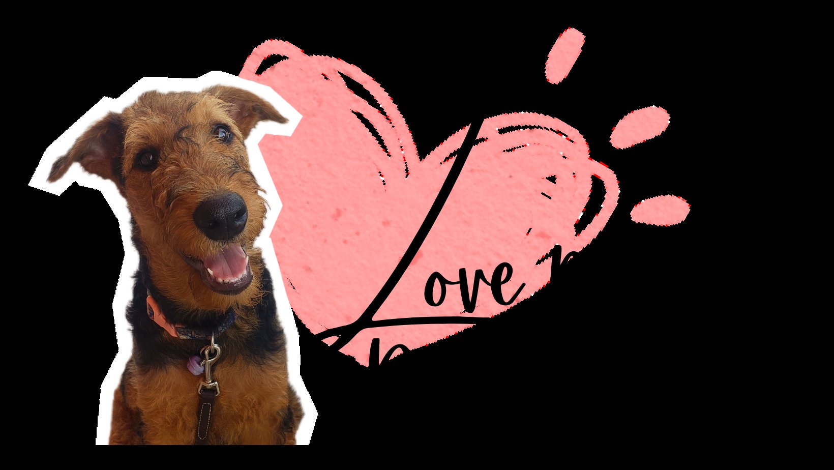 Love My Dog Trainer