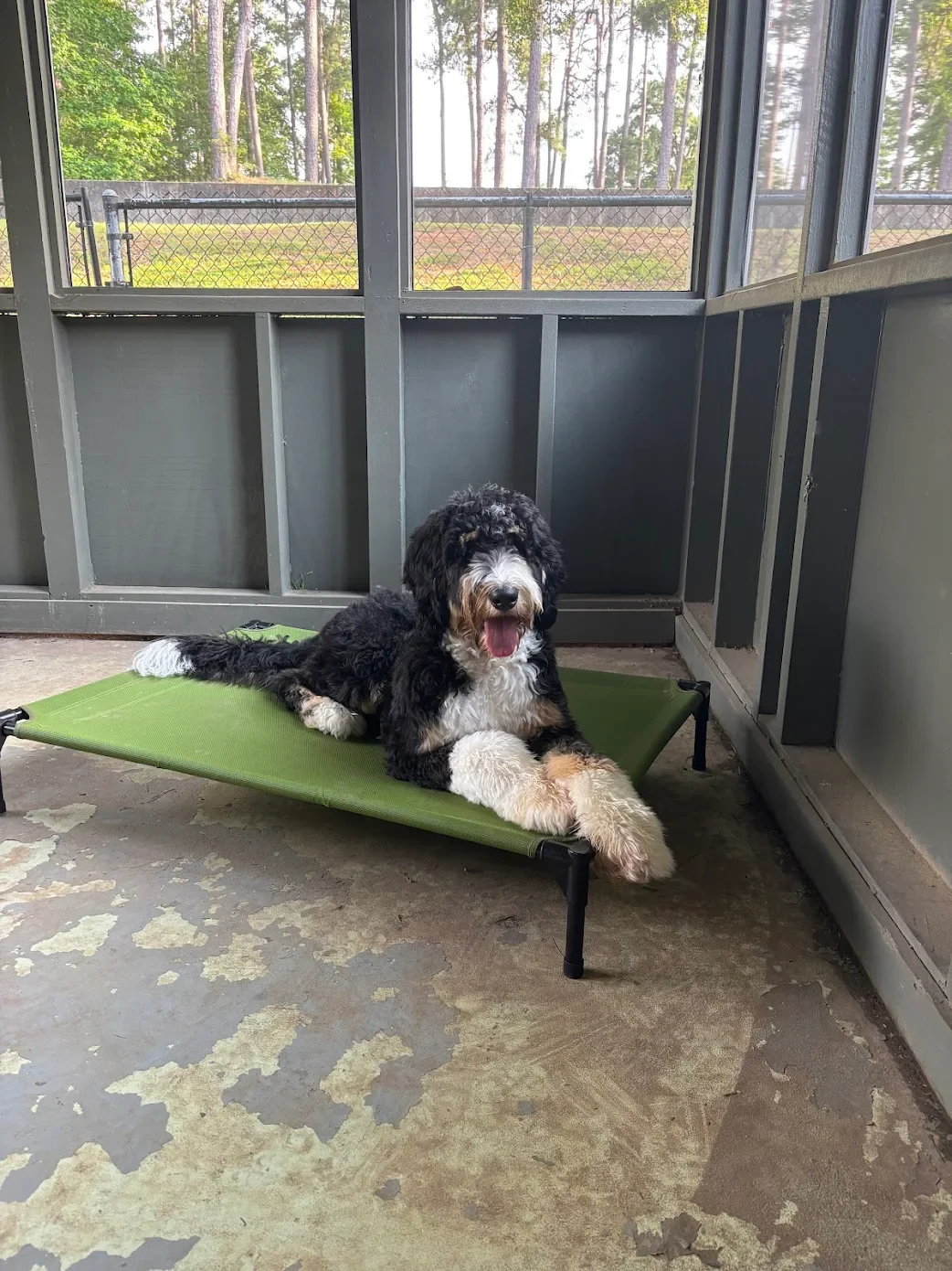Best Pals K9 Training