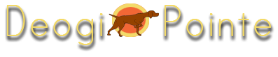 Deogi Pointe logo