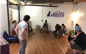 My Two Dogs Dog Grooming & Dog Training