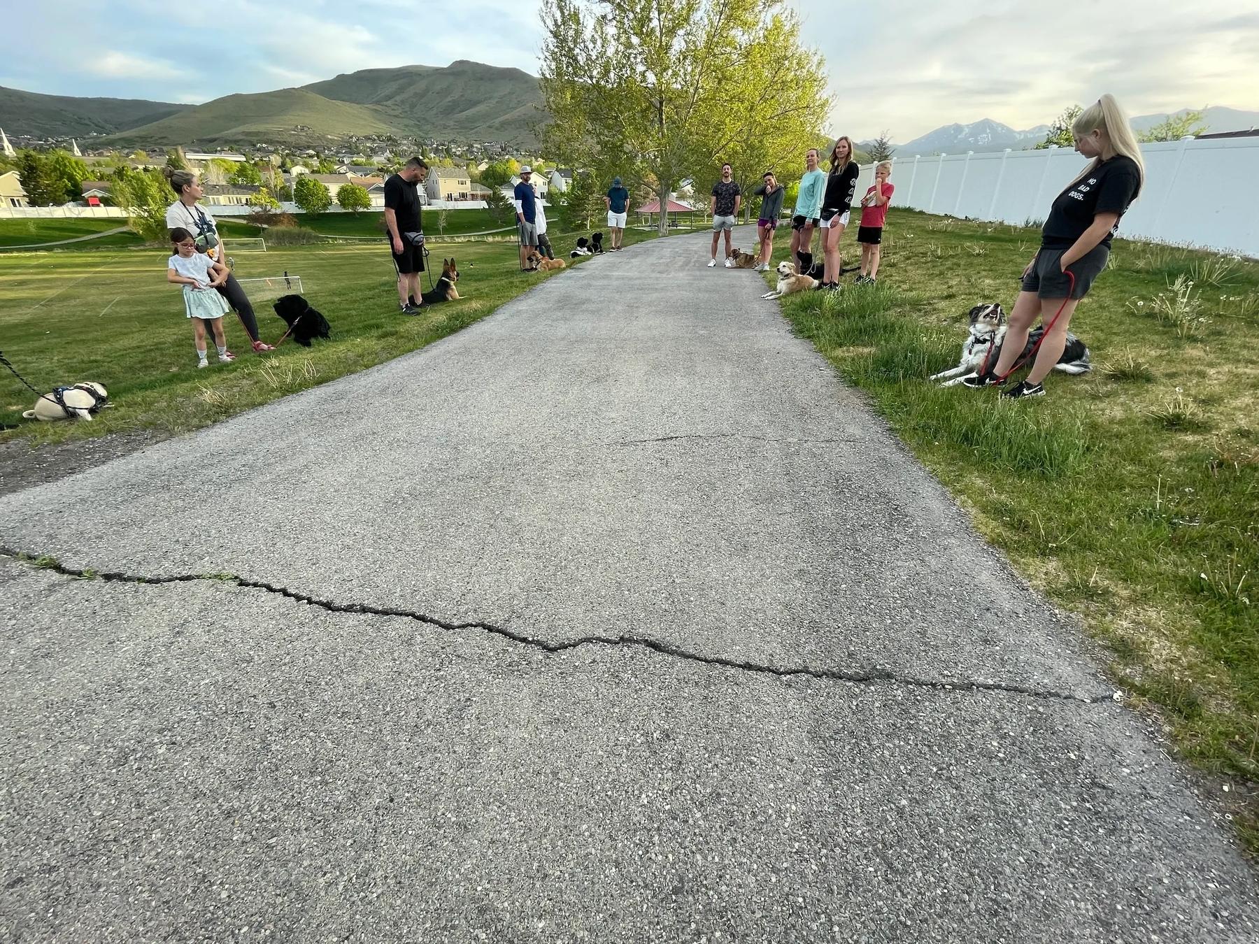 Lobato Dog Training