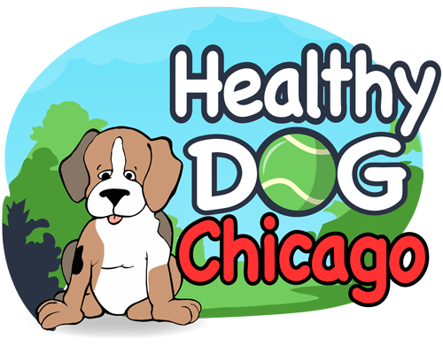Healthy Dog Chicago logo