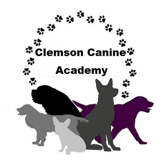Clemson Canine Academy, LLC logo